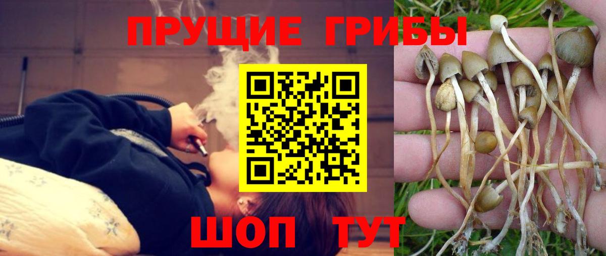 Сергиев Посад  Псилоцибиновые грибы мухоморы  Галлюциногенные грибы Psilocybine cubensis  Вход с VPN 